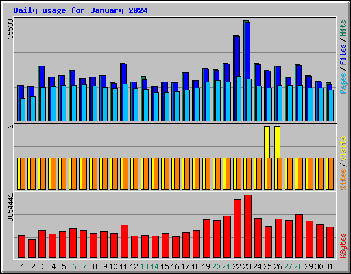 Daily usage for January 2024