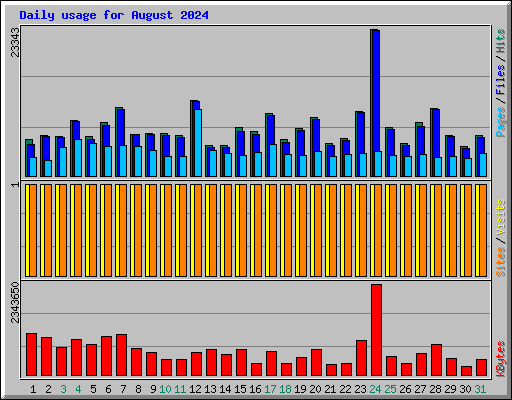 Daily usage for August 2024