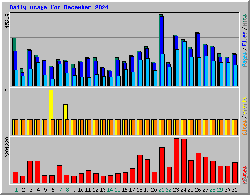 Daily usage for December 2024