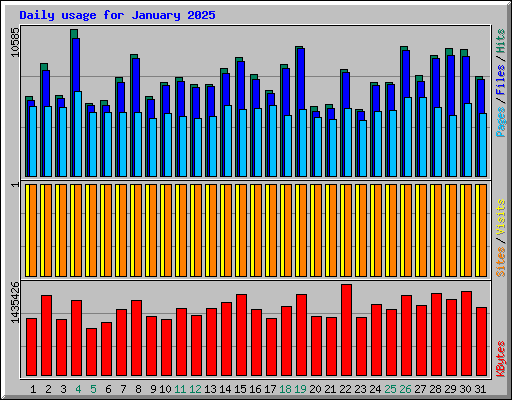 Daily usage for January 2025