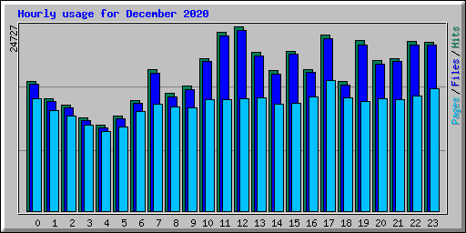 Hourly usage for December 2020