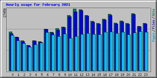Hourly usage for February 2021