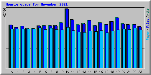 Hourly usage for November 2021