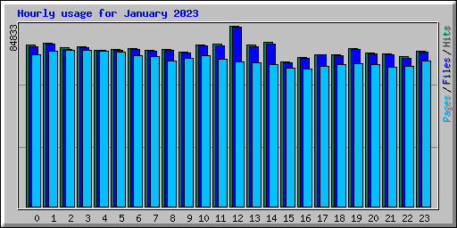 Hourly usage for January 2023