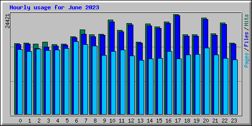 Hourly usage for June 2023