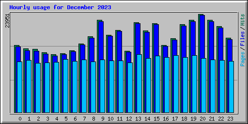 Hourly usage for December 2023