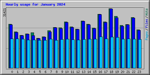 Hourly usage for January 2024