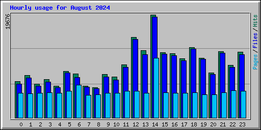Hourly usage for August 2024