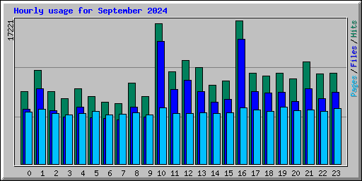 Hourly usage for September 2024