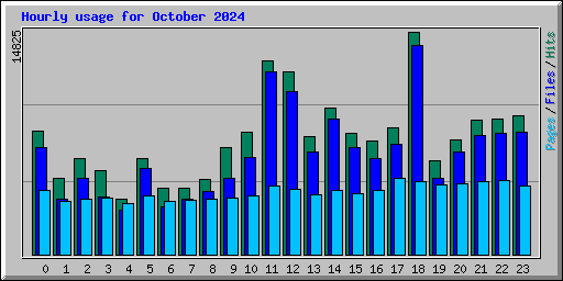 Hourly usage for October 2024