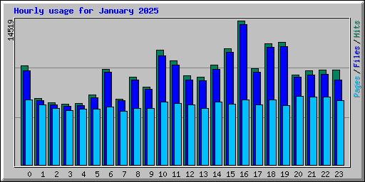 Hourly usage for January 2025