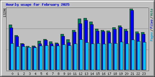 Hourly usage for February 2025
