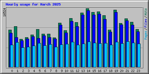 Hourly usage for March 2025