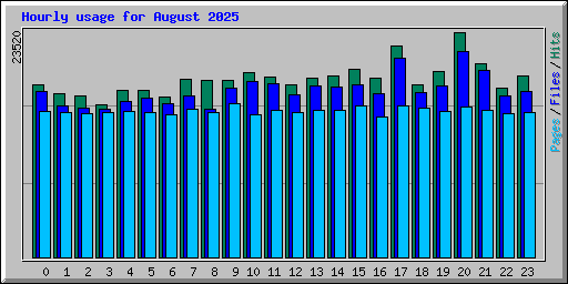 Hourly usage for August 2025