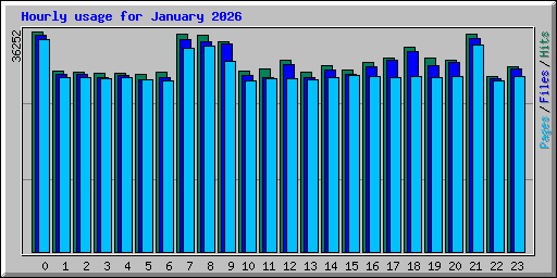 Hourly usage for January 2026
